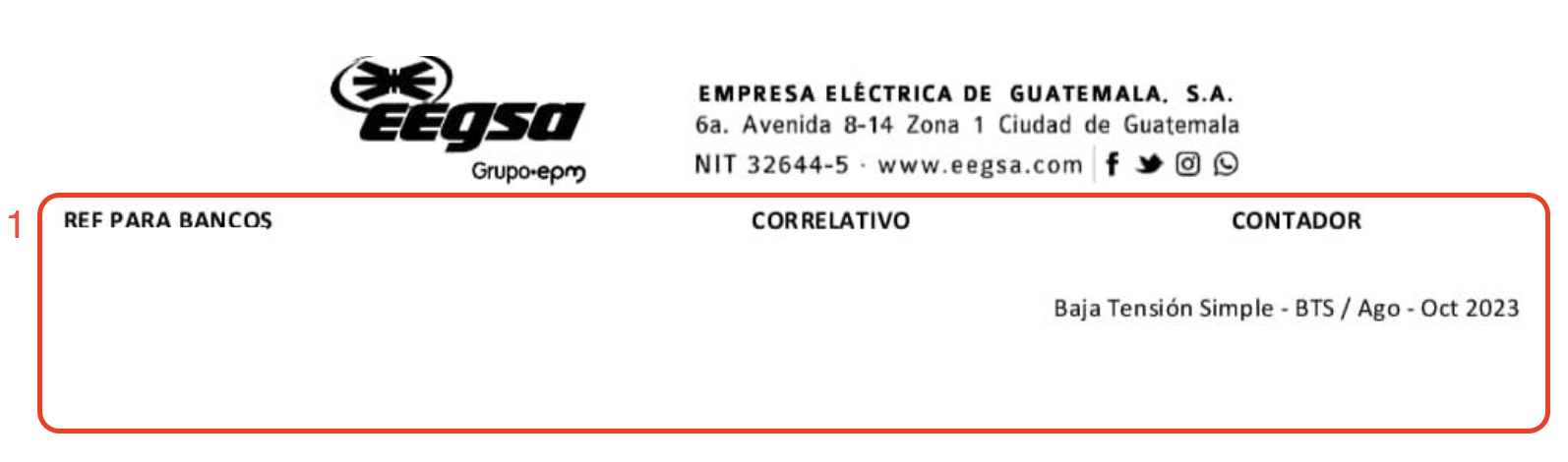 Información general del cliente en recibo EEGSA